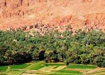 banner-image