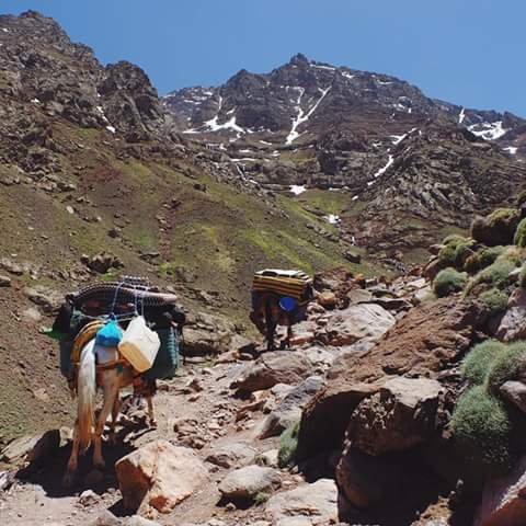 Atlas Mountains